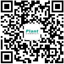 官方手機網站